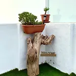 Juvimar Casa de hóspedes 3*